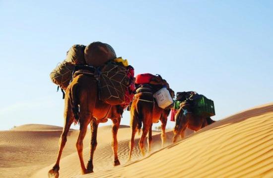 מחמיד Camp Sahara Holidays מראה חיצוני תמונה