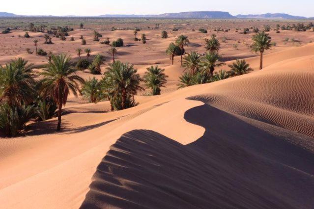 מחמיד Camp Sahara Holidays מראה חיצוני תמונה