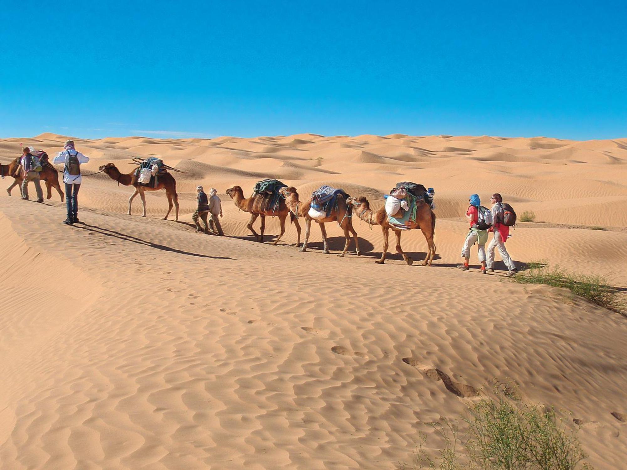 מחמיד Camp Sahara Holidays מראה חיצוני תמונה