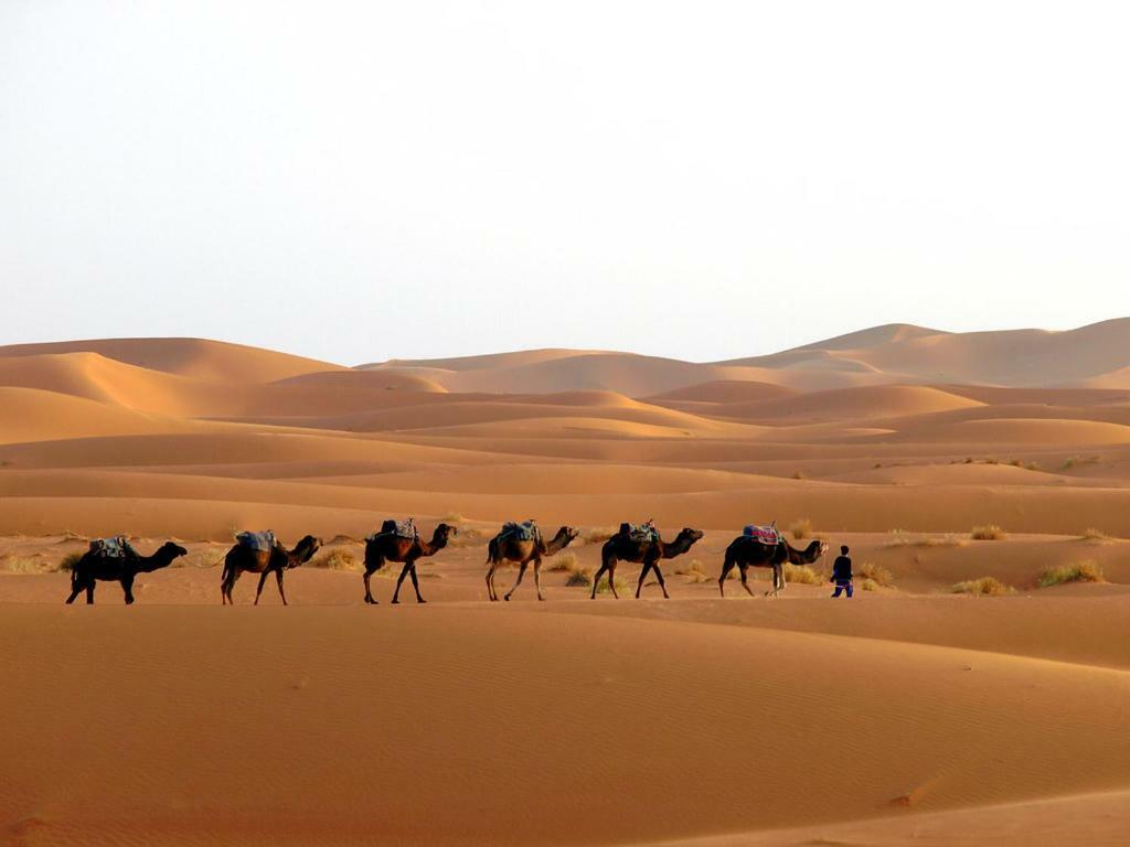 מחמיד Camp Sahara Holidays מראה חיצוני תמונה
