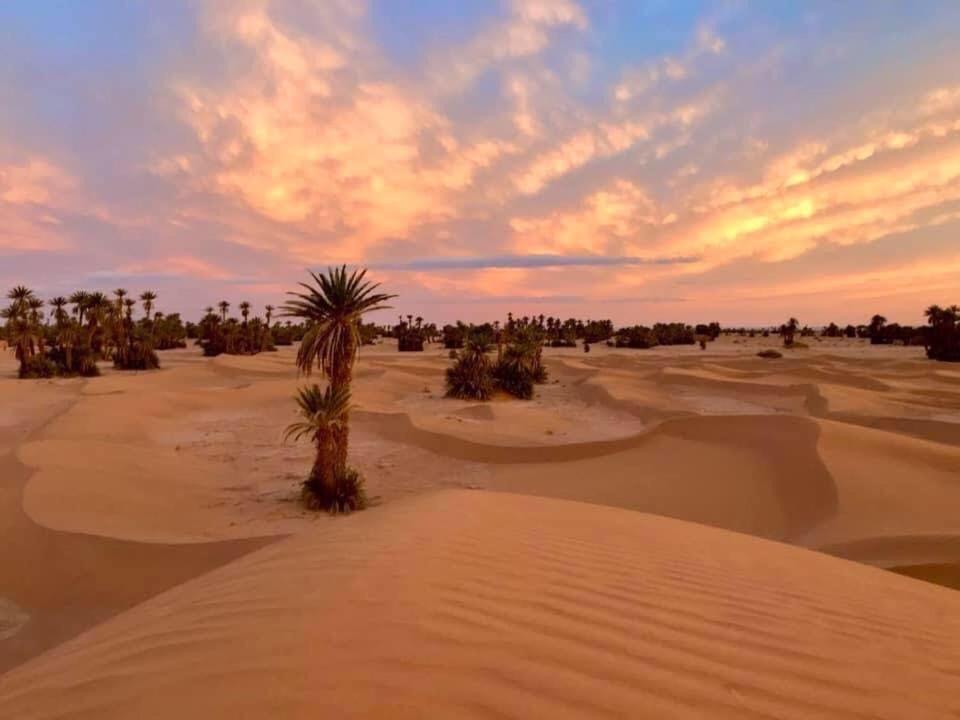 מחמיד Camp Sahara Holidays מראה חיצוני תמונה